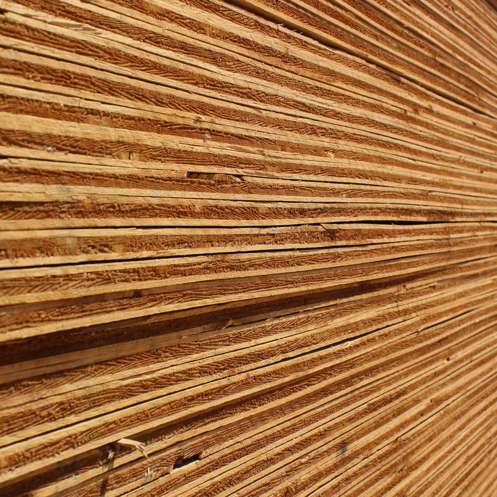 Pressure Treated Plywood