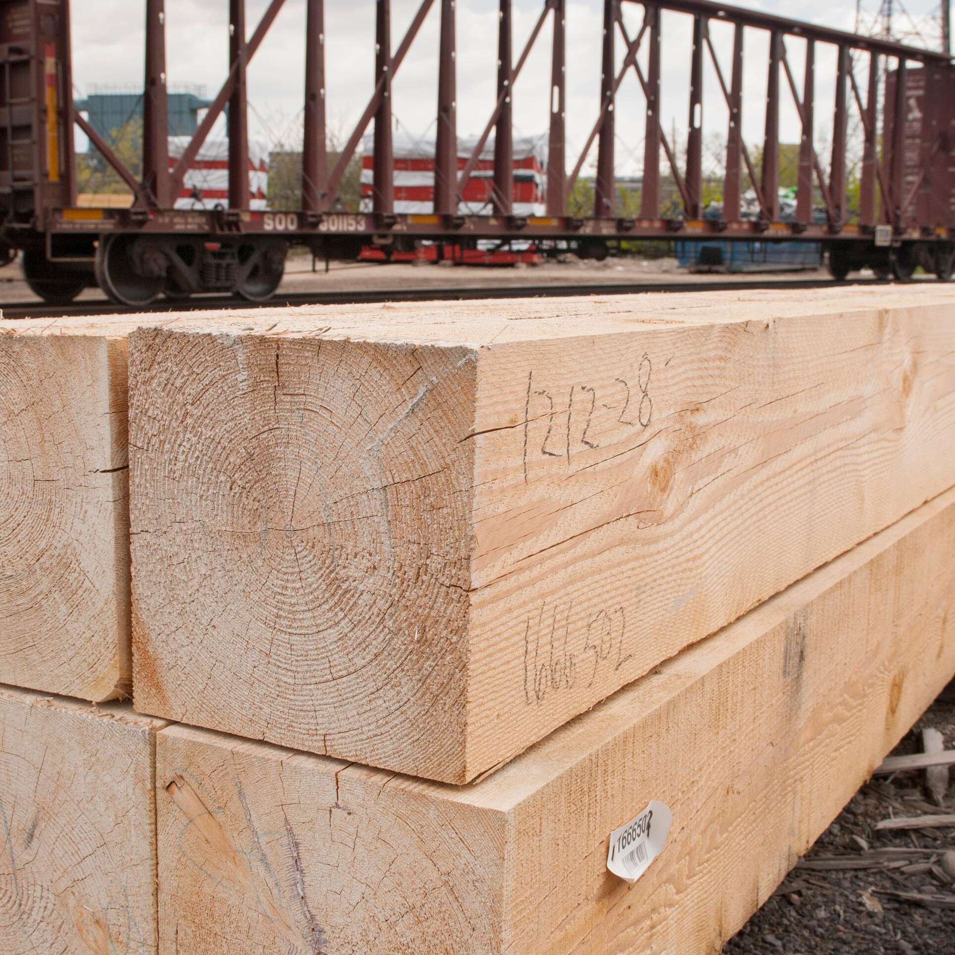 rough douglas fir timber