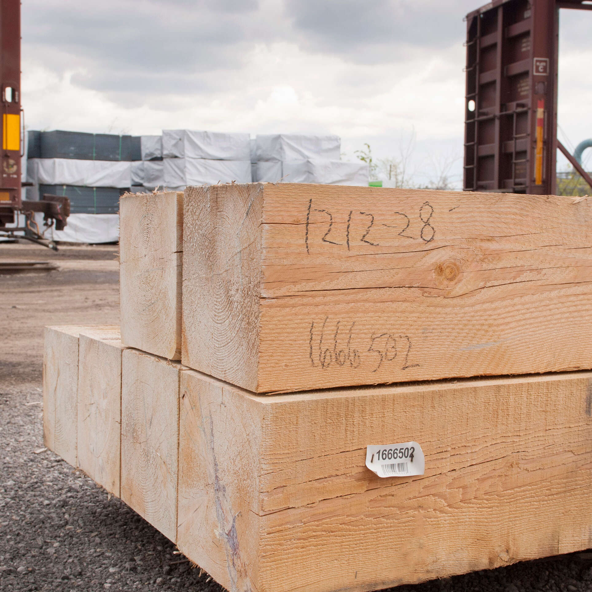 rough douglas fir timber