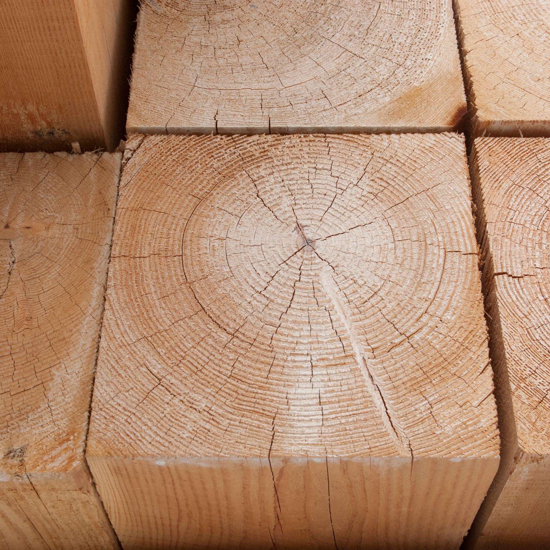 rough douglas fir timber