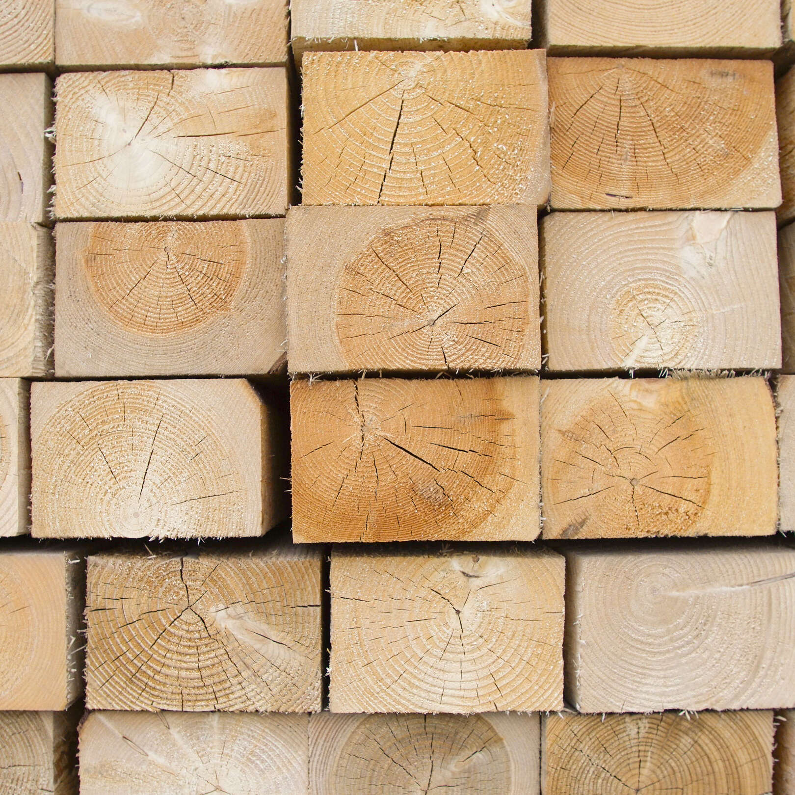 Rough spruce timber