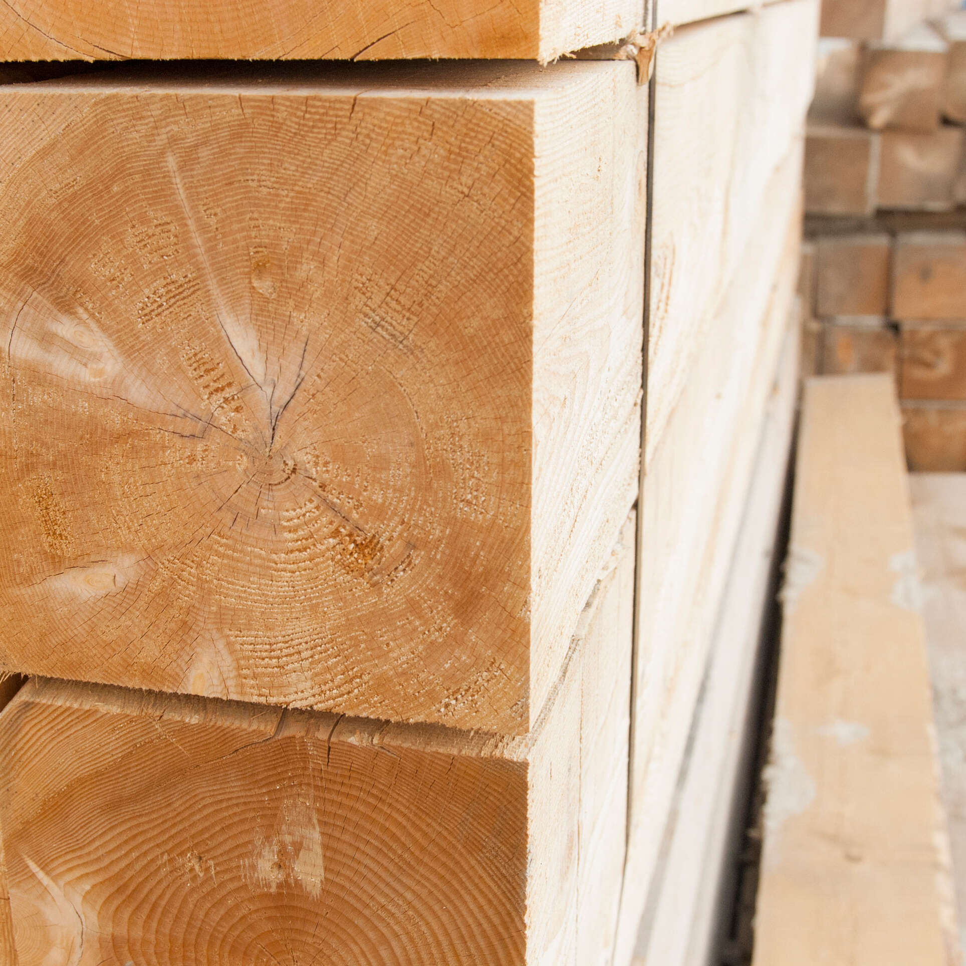 Rough spruce timber