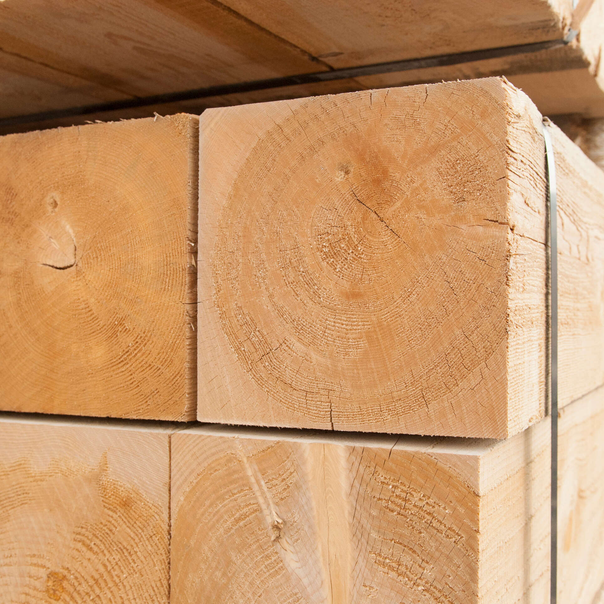 rough spruce timber