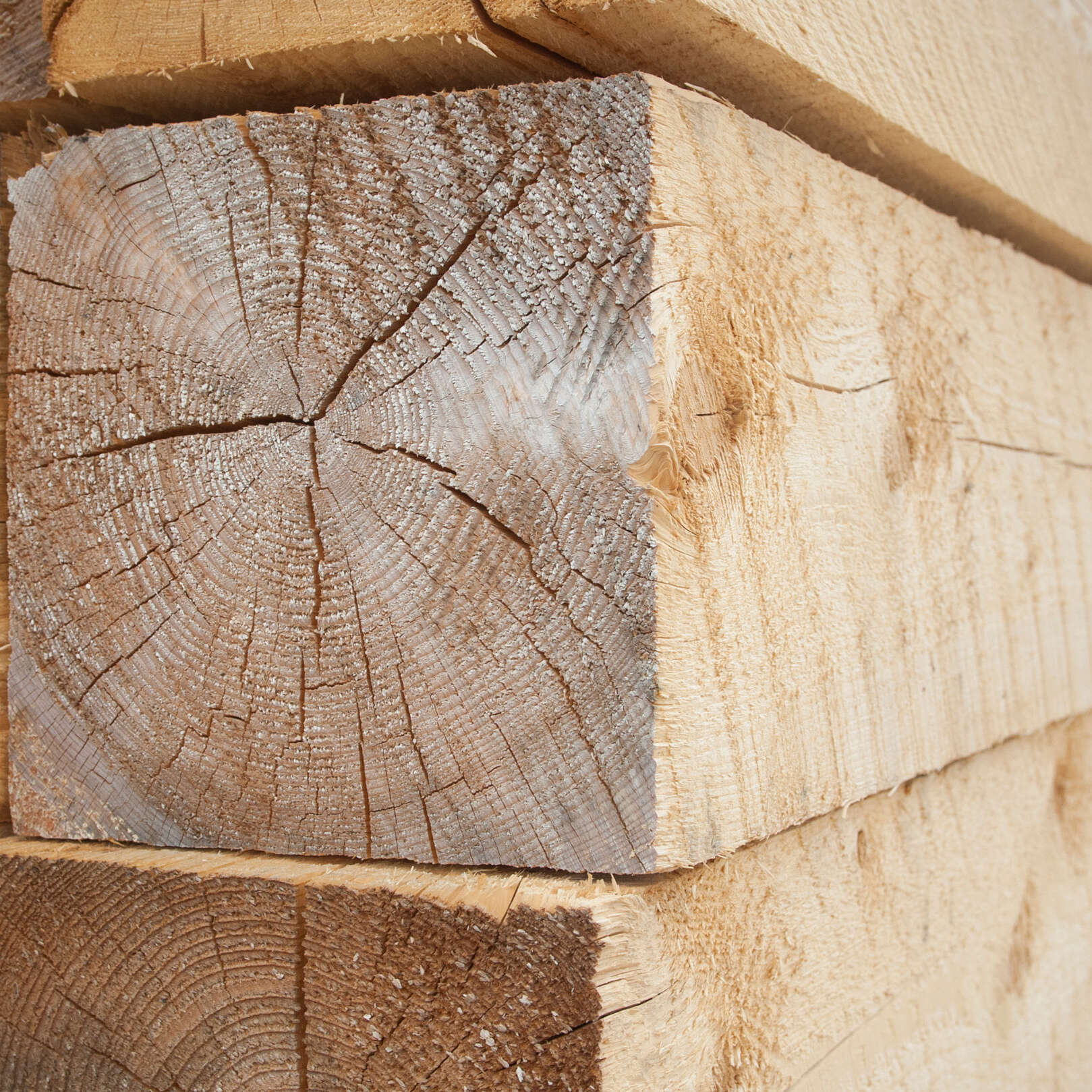 Rough spruce timber