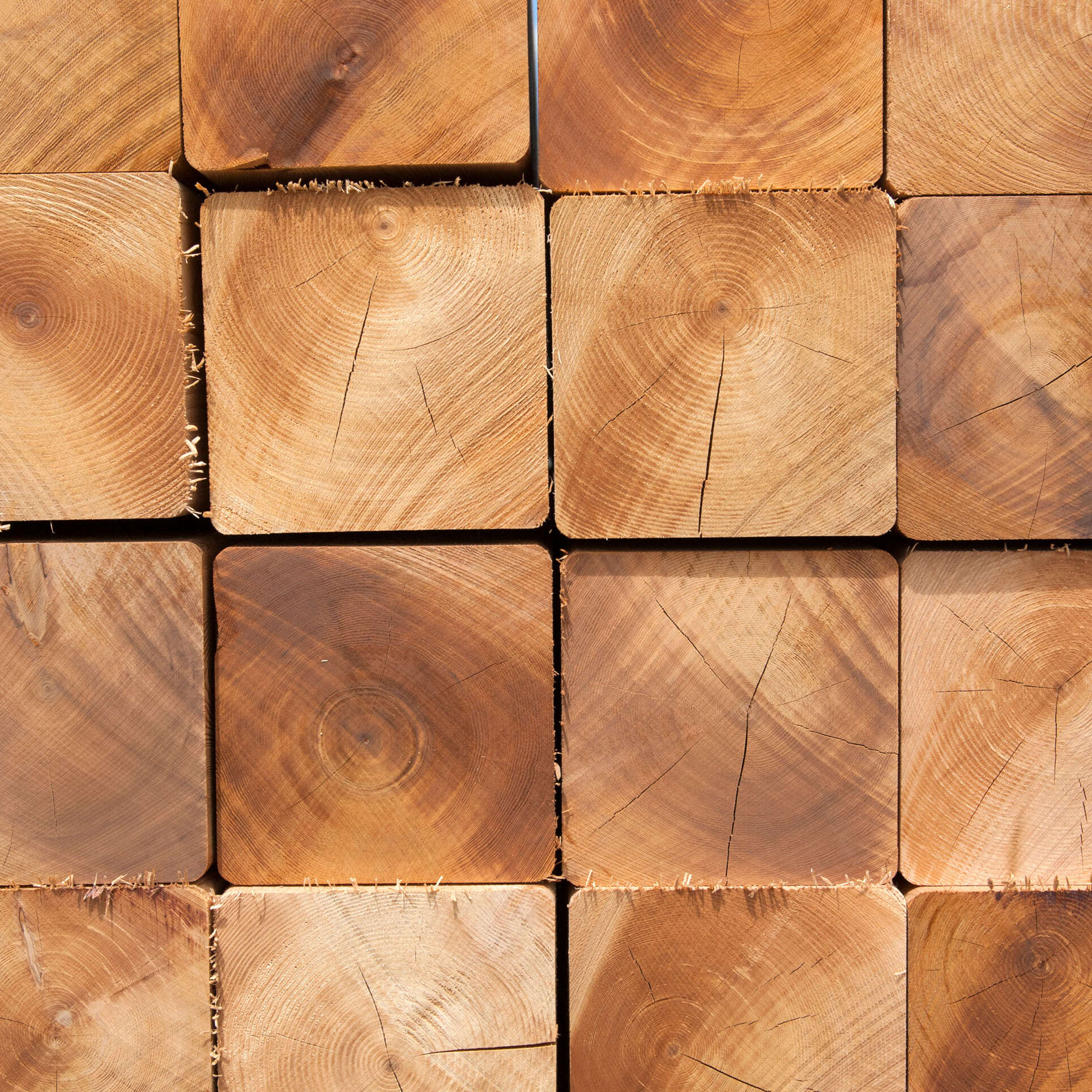 western red cedar timbers